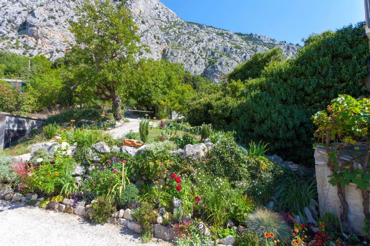 Holiday Home Lavanda Grubisic Tučepi Exteriör bild